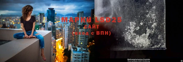 индика Волосово