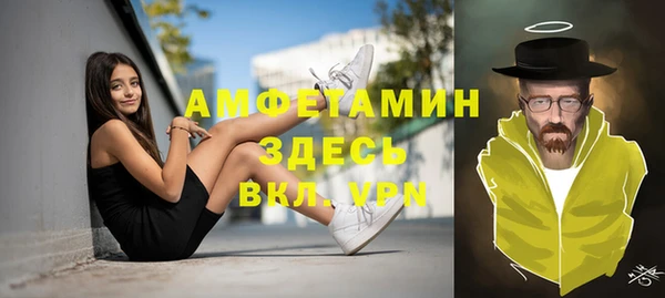 индика Волосово