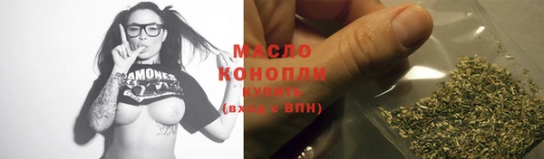 индика Волосово