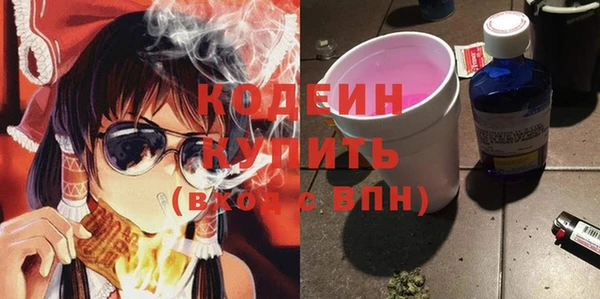 индика Волосово