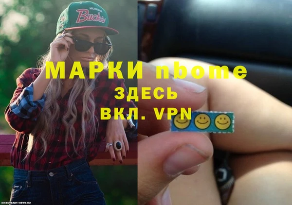 PSILOCYBIN Туринск