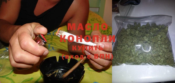 индика Волосово