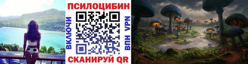 OMG ONION  продажа наркотиков  Луга  Галлюциногенные грибы GOLDEN TEACHER 