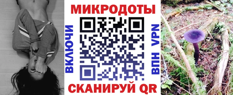 Галлюциногенные грибы Cubensis Луга