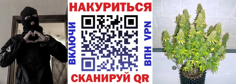 OMG вход  Луга  Каннабис индика 